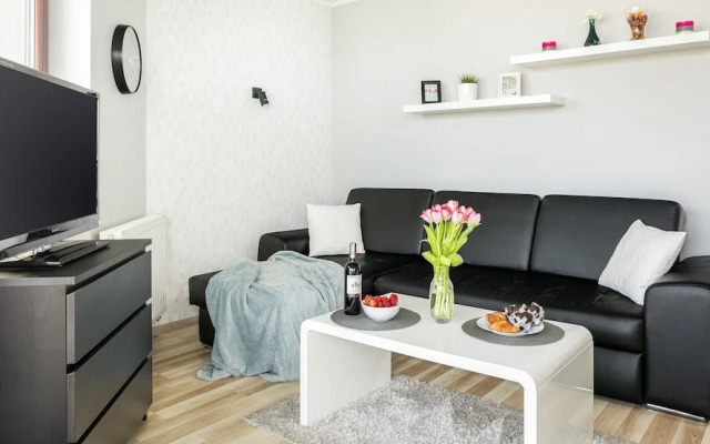 Business & Leasure Apartment