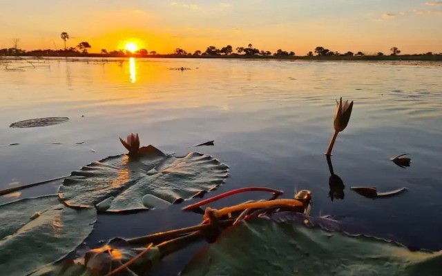 Khwai Mokoro Safaris and Campsites