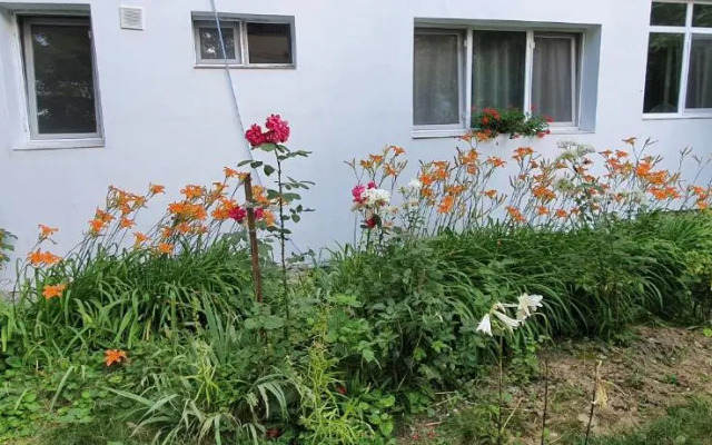 3 Rooms Apartment Airy & Bright Garden