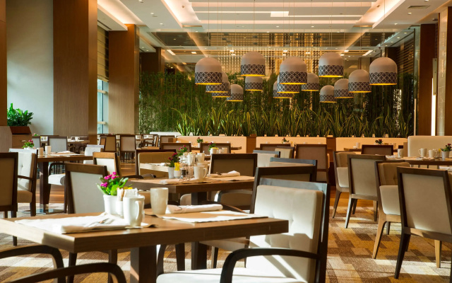 Отель Radisson Blu Hotel, Kayseri