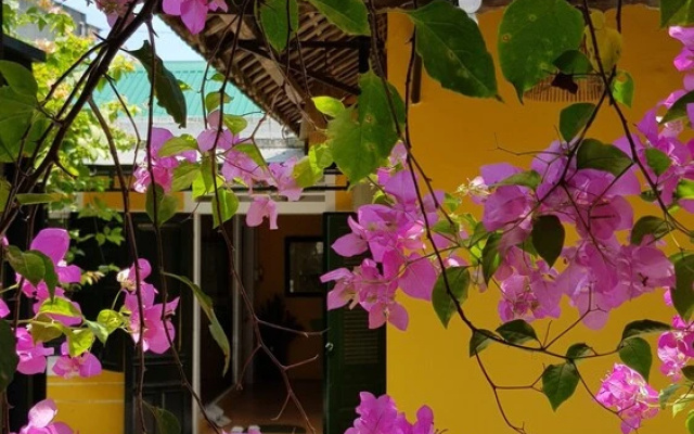 Lotus House Homestay