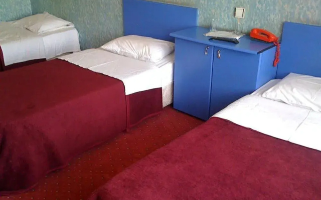 Hotel Temel