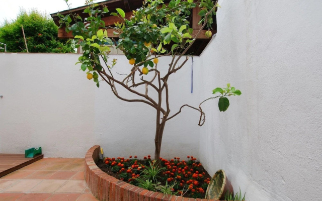 The Painter's Home