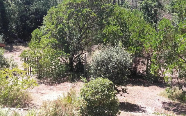 MAISON ARCACHON, 3 PIèCES, 5 PERSONNES - FR-1-319-383