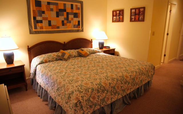Vantage Point Villas at Stratton Mountain Resort