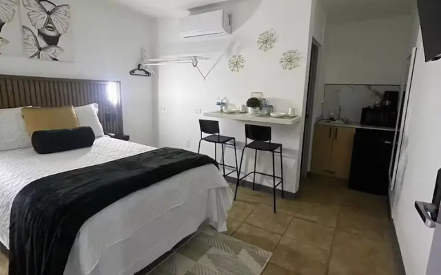 Estudios 303