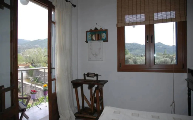 Elenis Olive green Studio