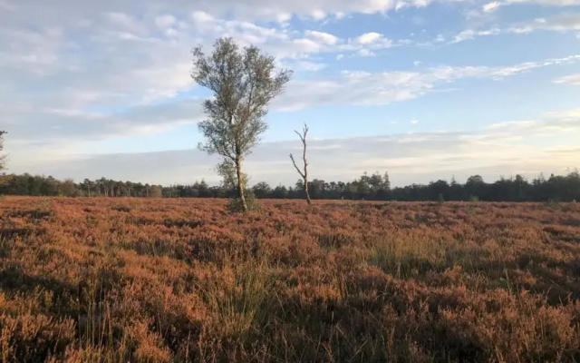 Pets Welcome, Veluwe Farmhouses for All
