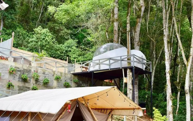 Glamping Stars