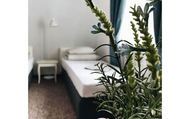 Pastel Guest Rooms