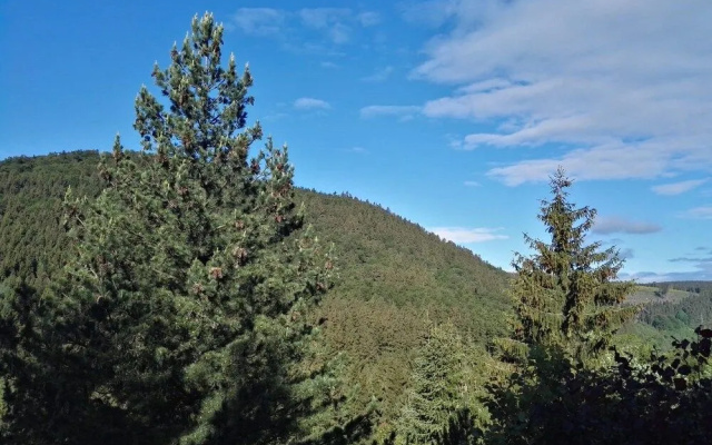 Ferienwohnung Waldblick Winterberg