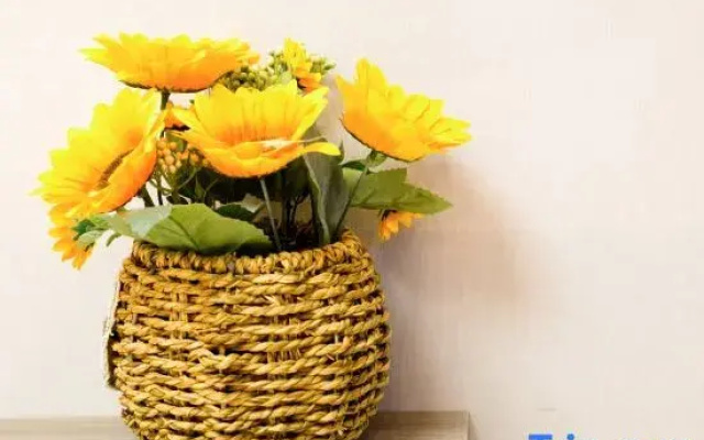 Qingyaju Homestay