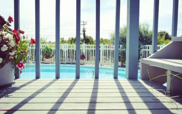 Haven Montauk