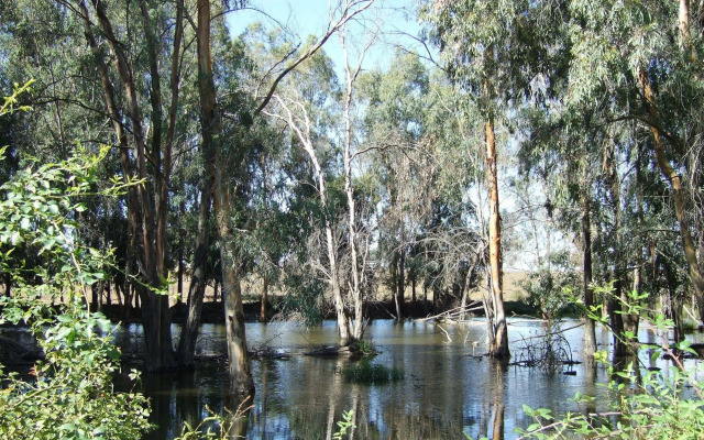 El Vaqueril