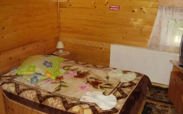 Pension Bran Ioana