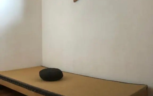 il larice d' oro