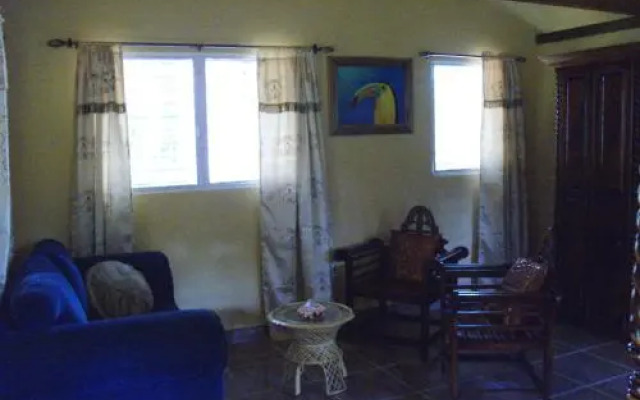 Inn the Bush Eco-Jungle Lodge
