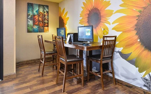 Comfort Inn & Suites