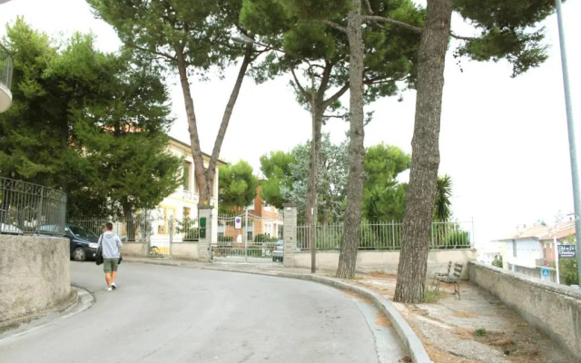 Pino Marittimo