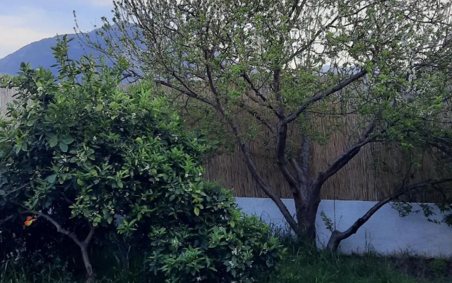 Villa elif