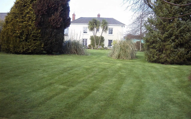 Elmfield