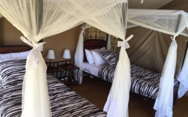 Acacia Tarangire Luxury Camp in Arusha, Tanzania from 567$, photos, reviews - zenhotels.com guestroom
