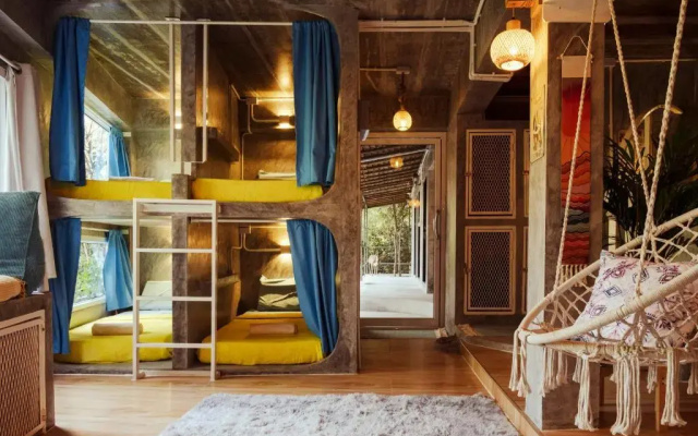 Wonderland Jungle Hostel