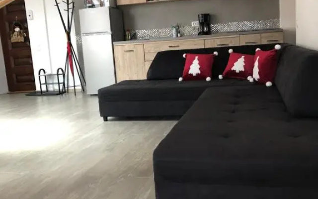 Apartament Andy Busteni 30 m de partie