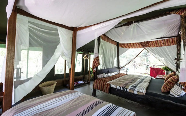 Aruba Mara Bush Camp