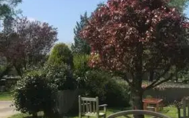 Lynwood House Bed and Breakfast