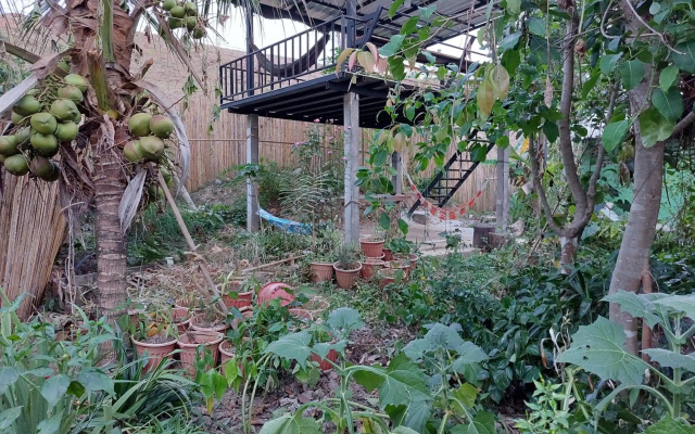 Thong Family Homestay Chiengdao