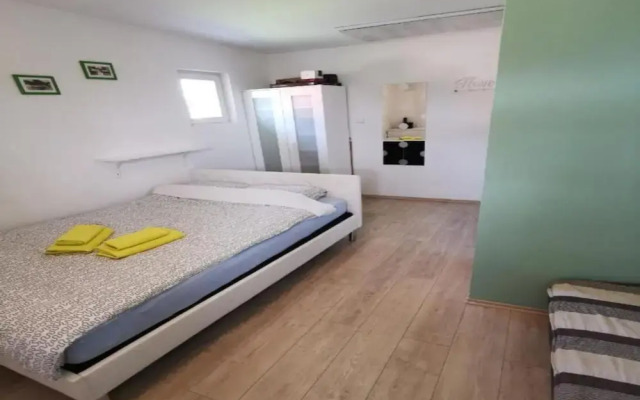 Holiday Home in Tuheljske With Hot Tub
