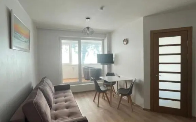 Plytų apartamentai31