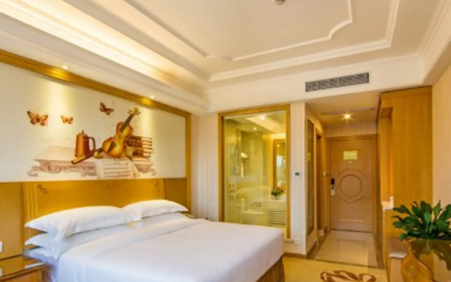 Wuyi Mountain Vienna International Hotel (Sangu Holiday Zone Impression Dahongpao Branch)