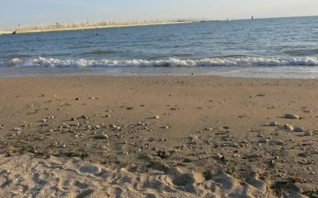 VILLA VERDE La Rochelle