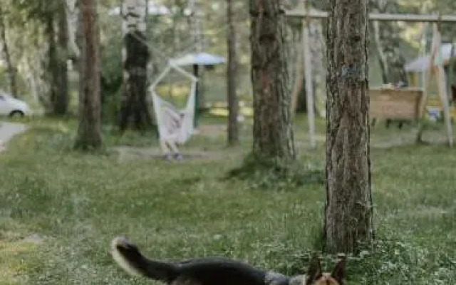 Туристический комплекс Таёжник
