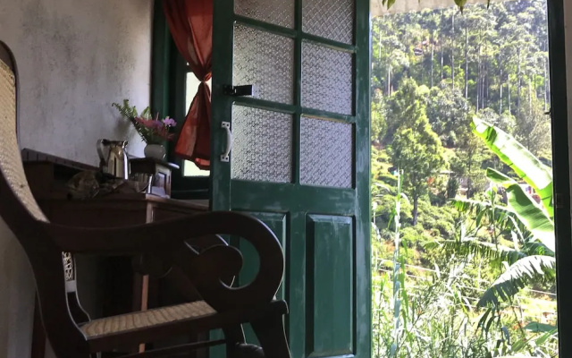Meena Amma's Tea Experience