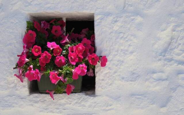 Отель Romantic Trulli Альберобелло вид на фасад