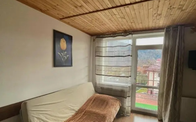 Yaremche House