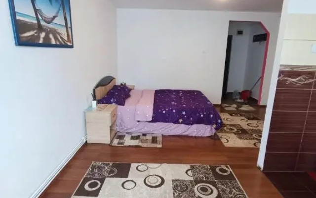Alexia house