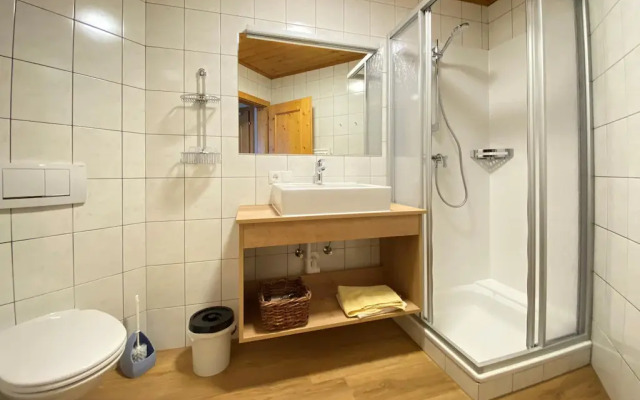 Apartment in Filzmoos Near Ski Amade
