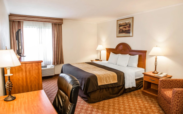 Comfort Inn