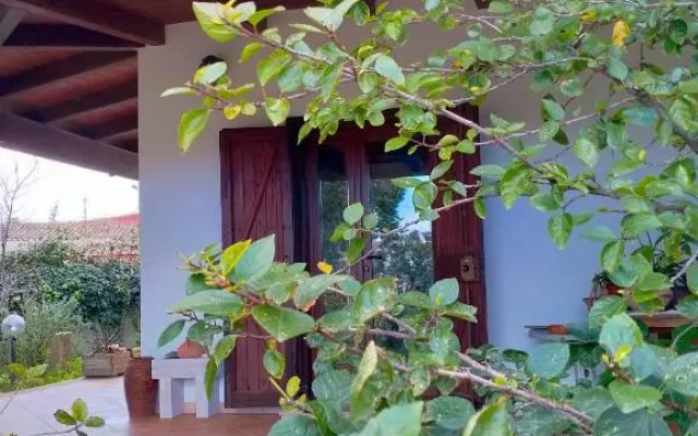 Casa Armas