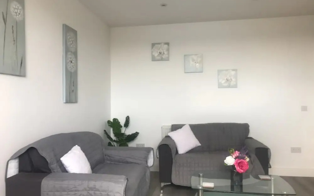 Luxury City Apartment