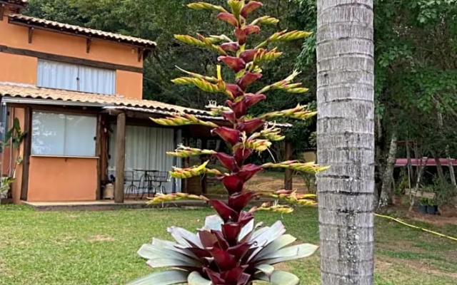 Pousada Ecologica Espelho D'Agua