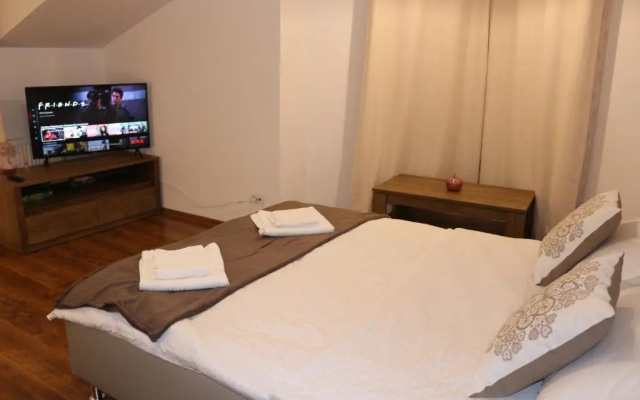 Timisoara City Apartments