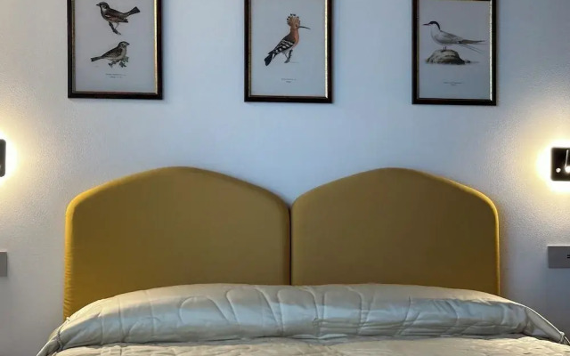 Il nido dell'Upupa