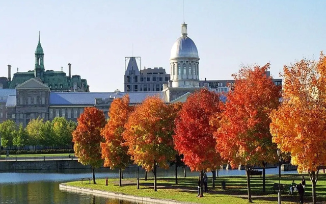 Studio in Montréal, With Furnished Terrace and Wifi