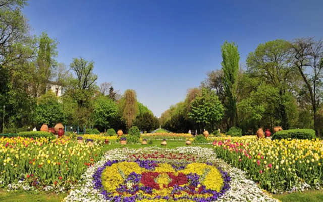 Studio Cismigiu Park