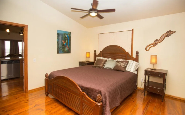 Turtle Casa 6